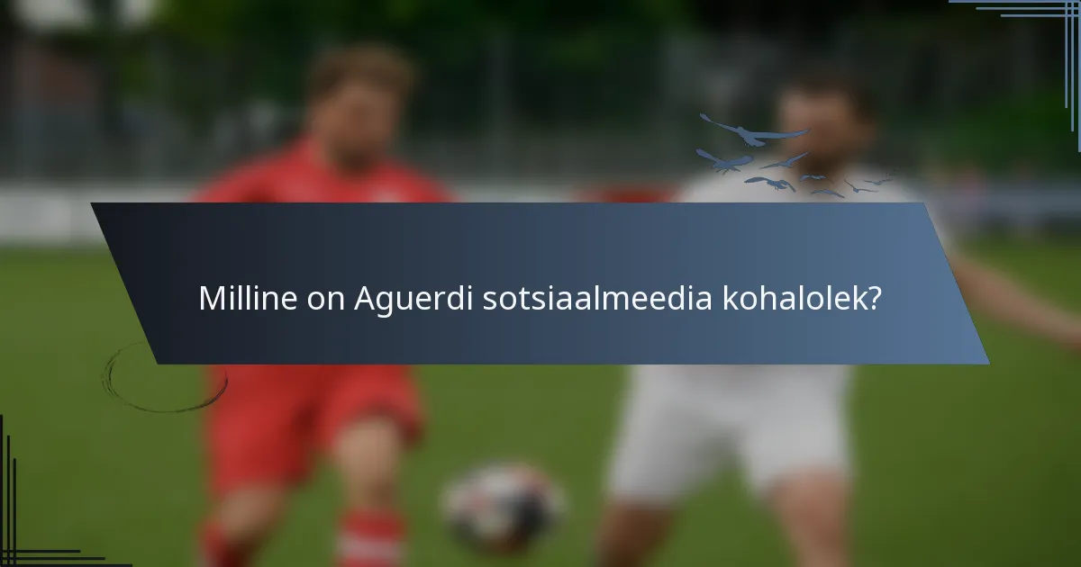 Milline on Aguerdi sotsiaalmeedia kohalolek?
